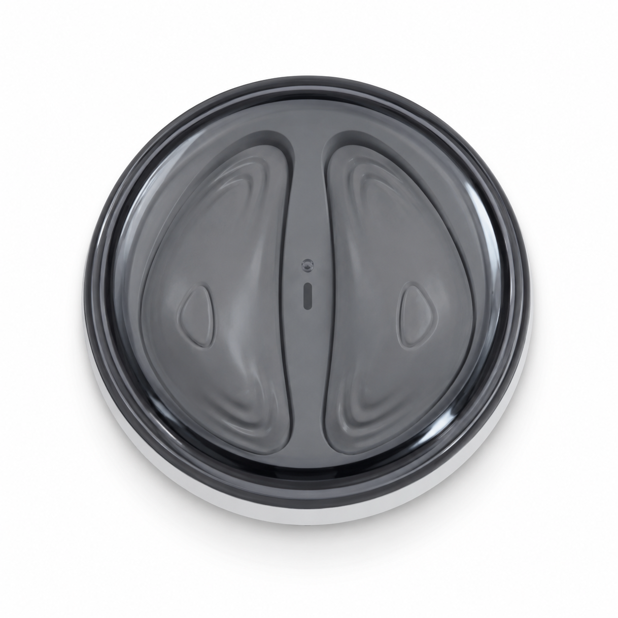 Magnetic
Charging Case